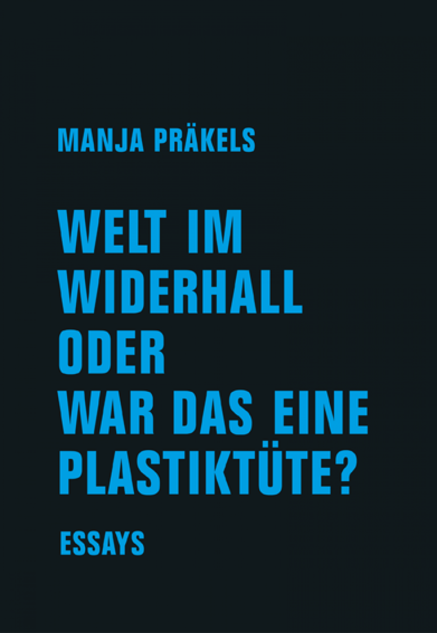 Welt im Widerhall oder war das eine Plastiktüte? Essays