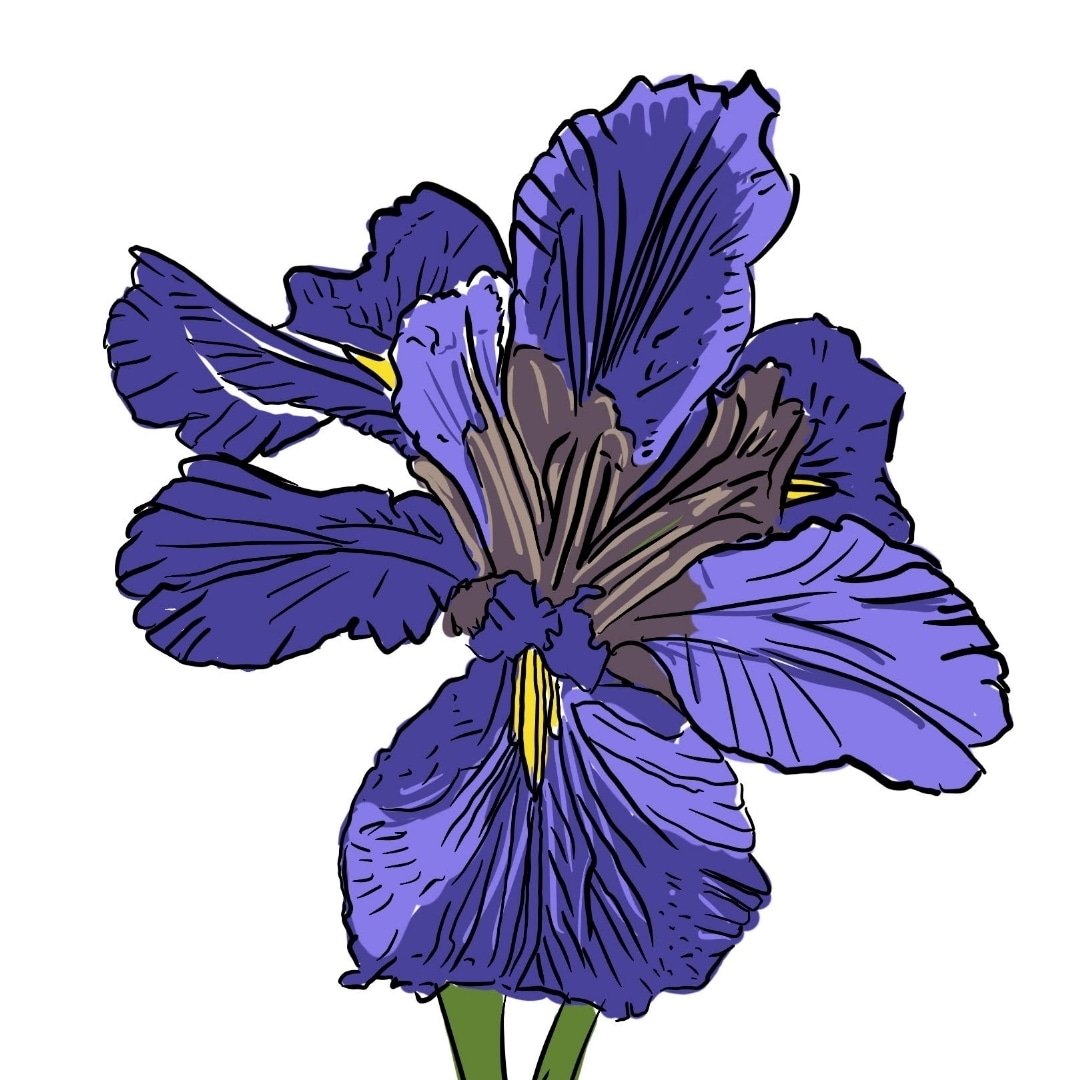 Flowers of Queer Remembrance: portraits in empowered memory