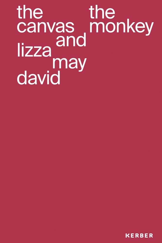 the canvas and the monkey lizza may david