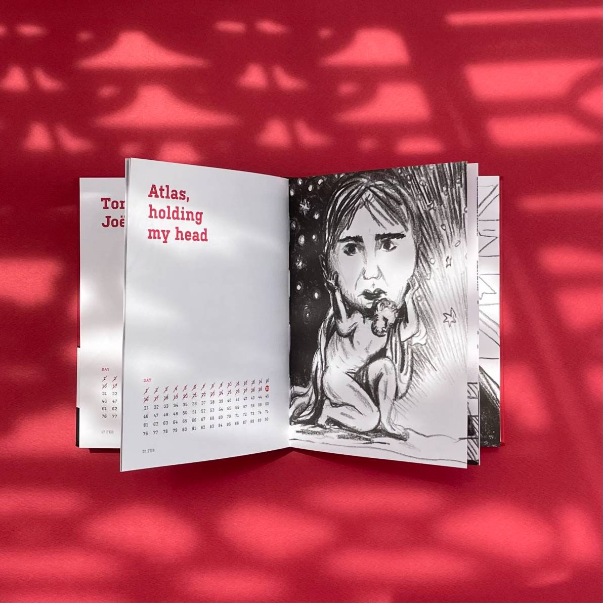 In a Bind: The 90 Day Cast