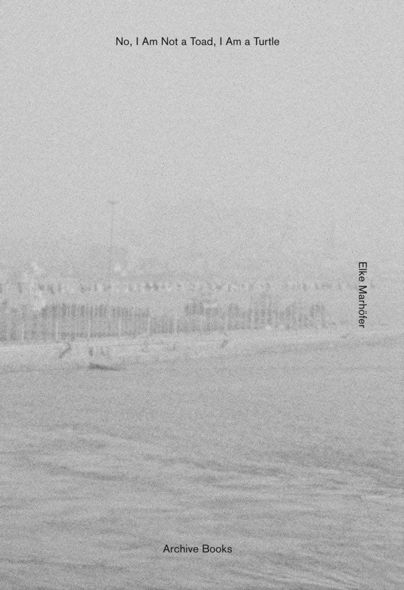 No, I Am Not a Toad, I Am a Turtle