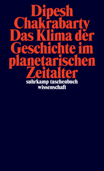 Das Klima der Geschichte im planetarischen Zeitalter (Taschenbuch)