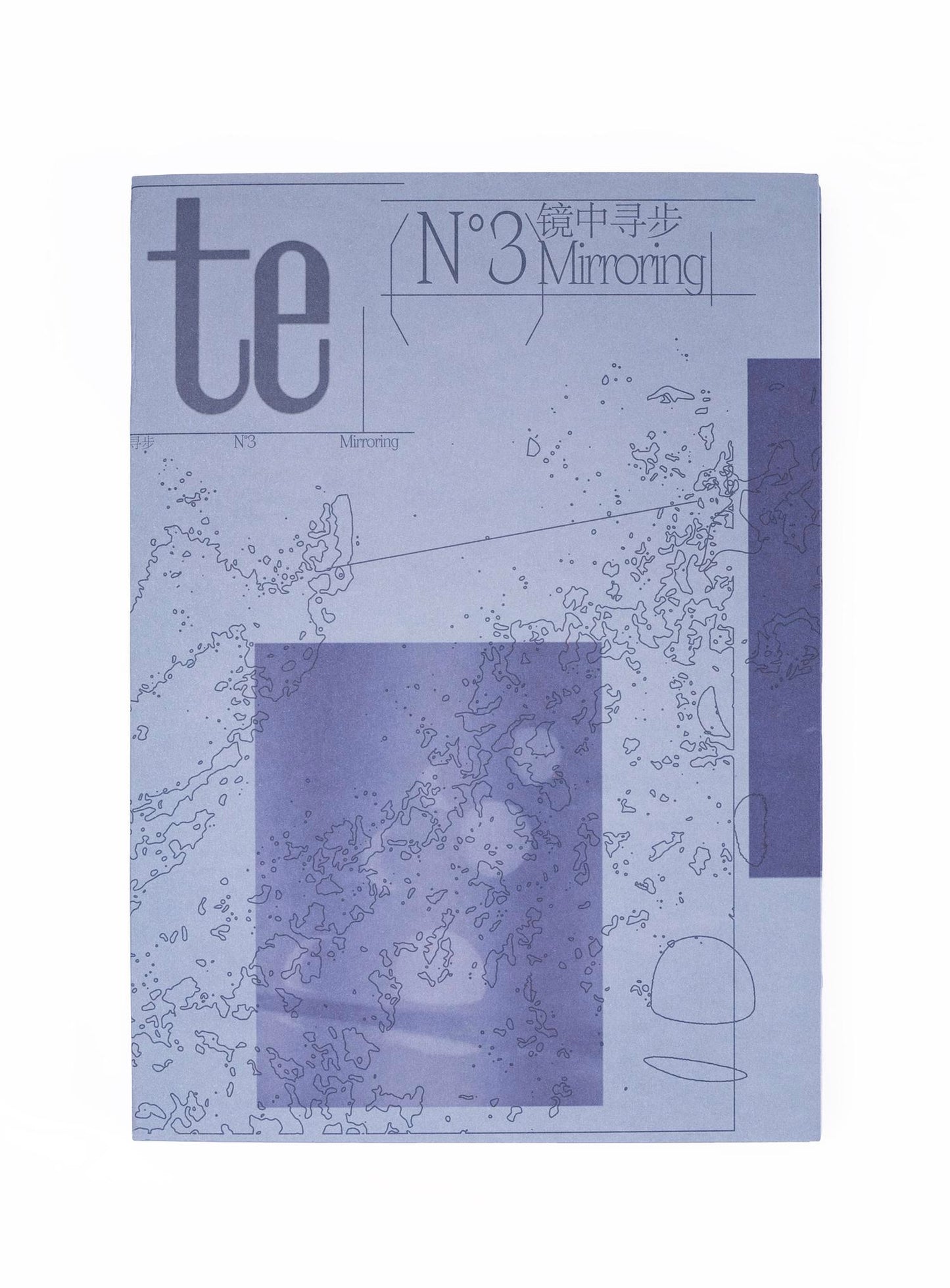te issue 3: Mirroring 镜中寻步