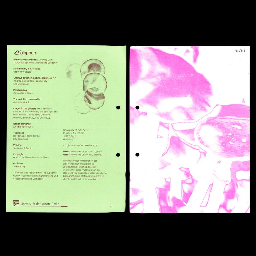 Planetary Embodiment - Cooking with Words for Systemic Change and Solidarity