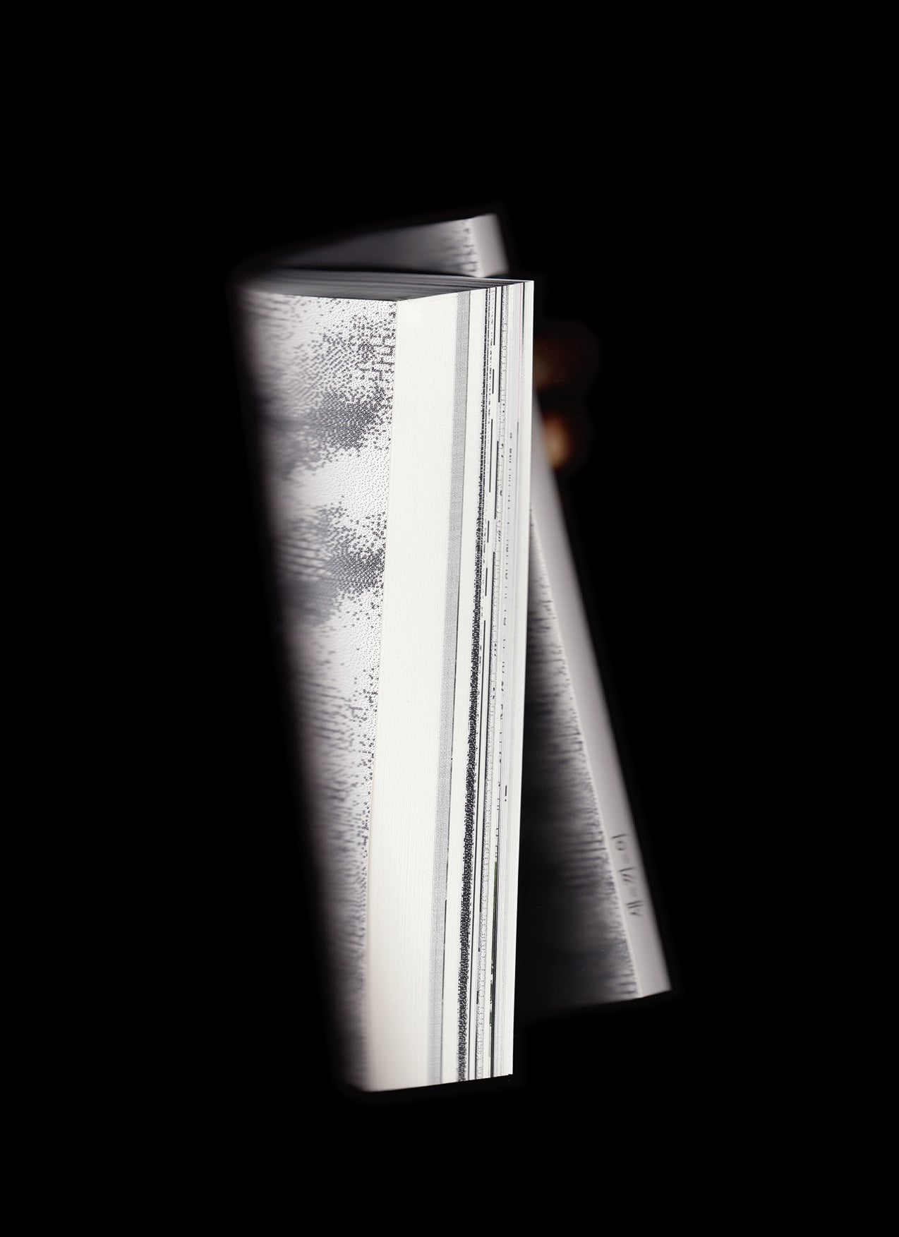 새-끼-어 - AFSAR's sae-kki-eo