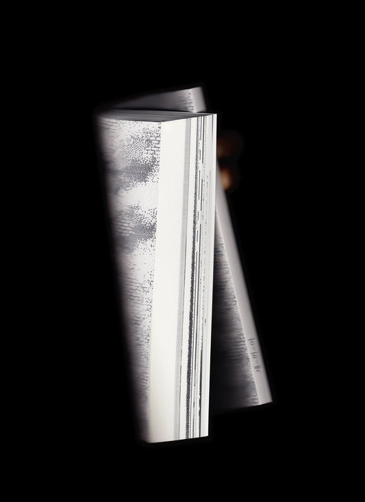 새-끼-어 - AFSAR's sae-kki-eo