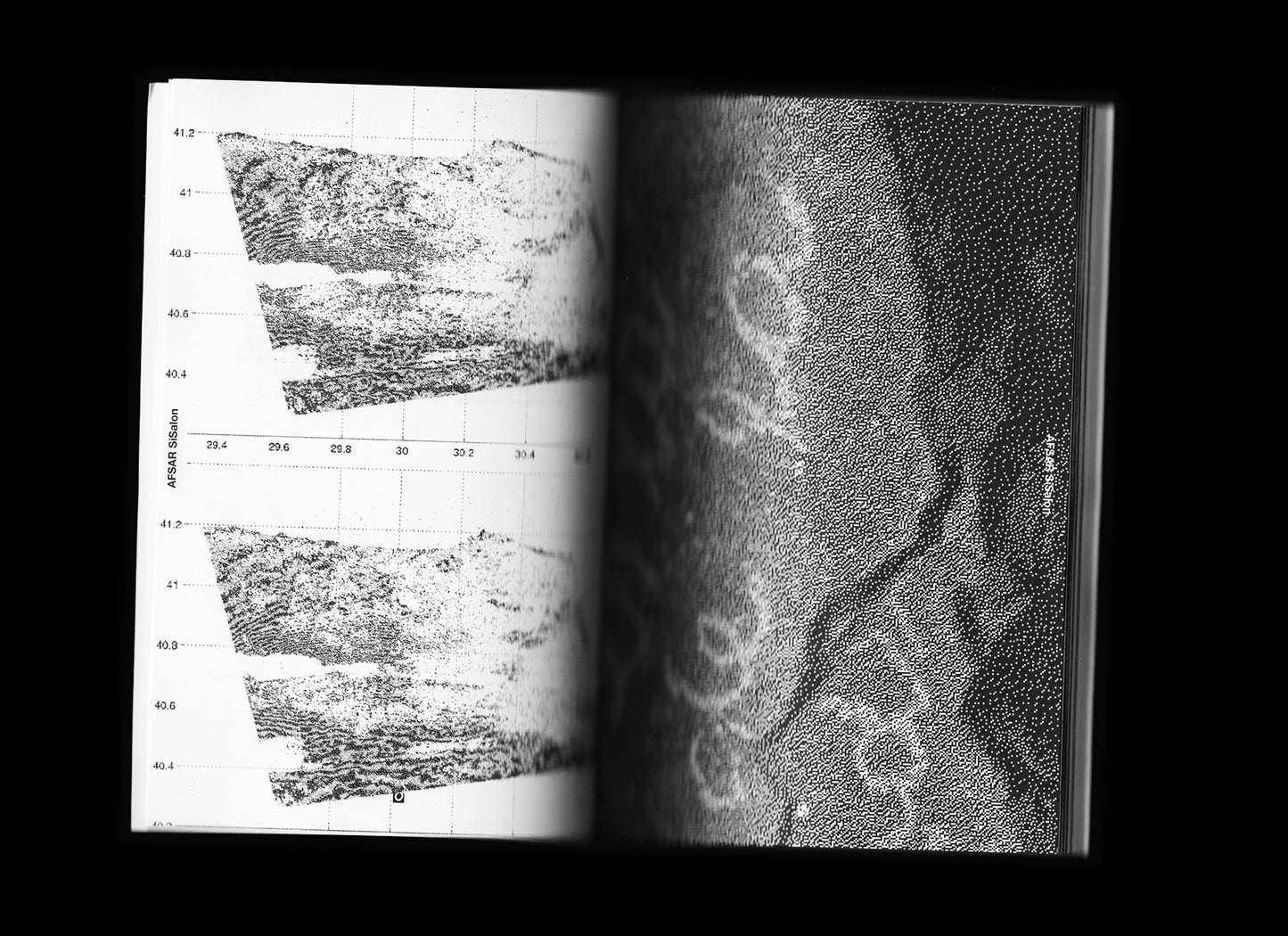 새-끼-어 - AFSAR's sae-kki-eo