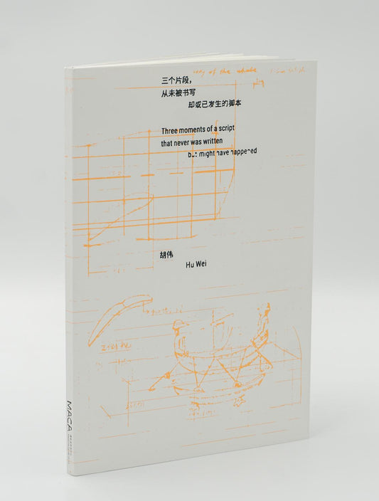 Three moments of a script that never was written but might have happened 三个片段，从未被书写却或已发生的脚本