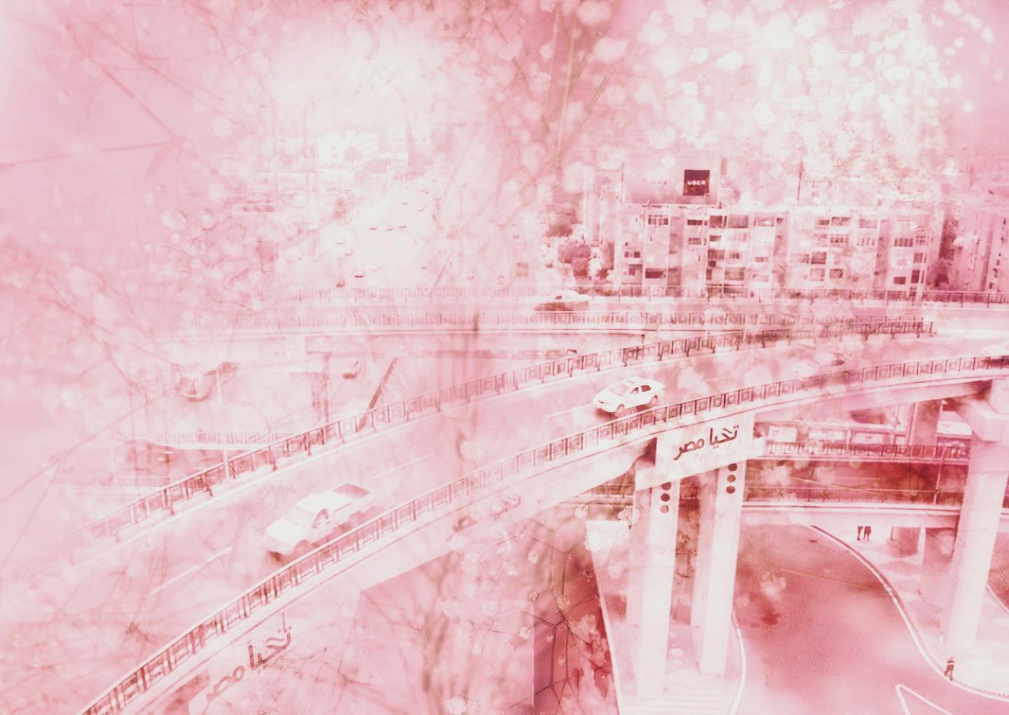 An ode to my city and beyond