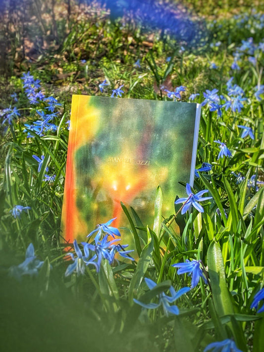 Artist Book by Manuel Tozzi, 2018-2024