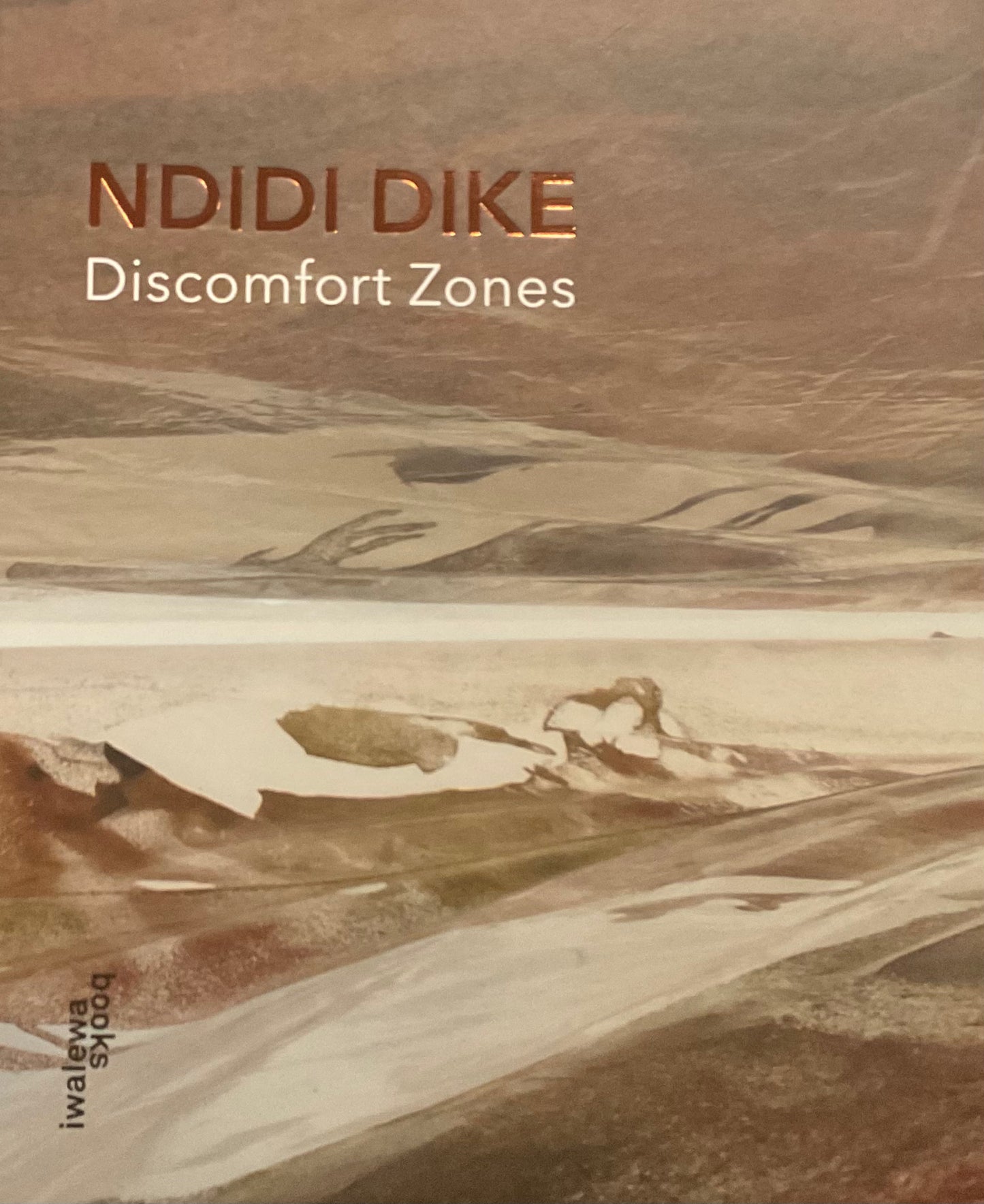 Ndidi Dike: Discomfort Zones