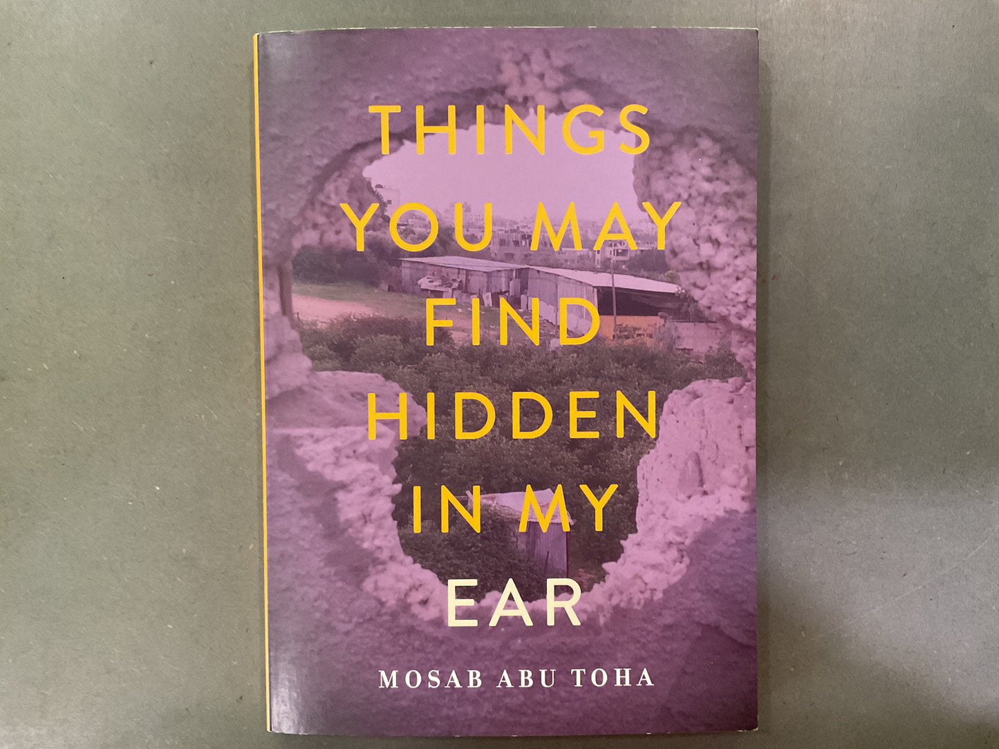 Things you may find hidden in my ear