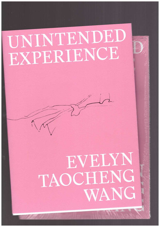 Unintended Experience. A Job in Amsterdam