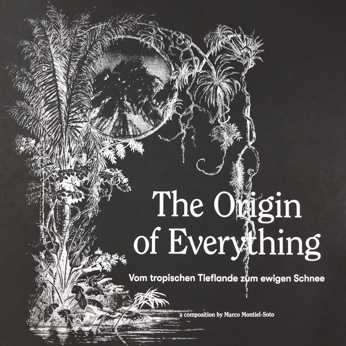 The origin of everything: Vom Tropische Tieflande zum ewigen Schnee