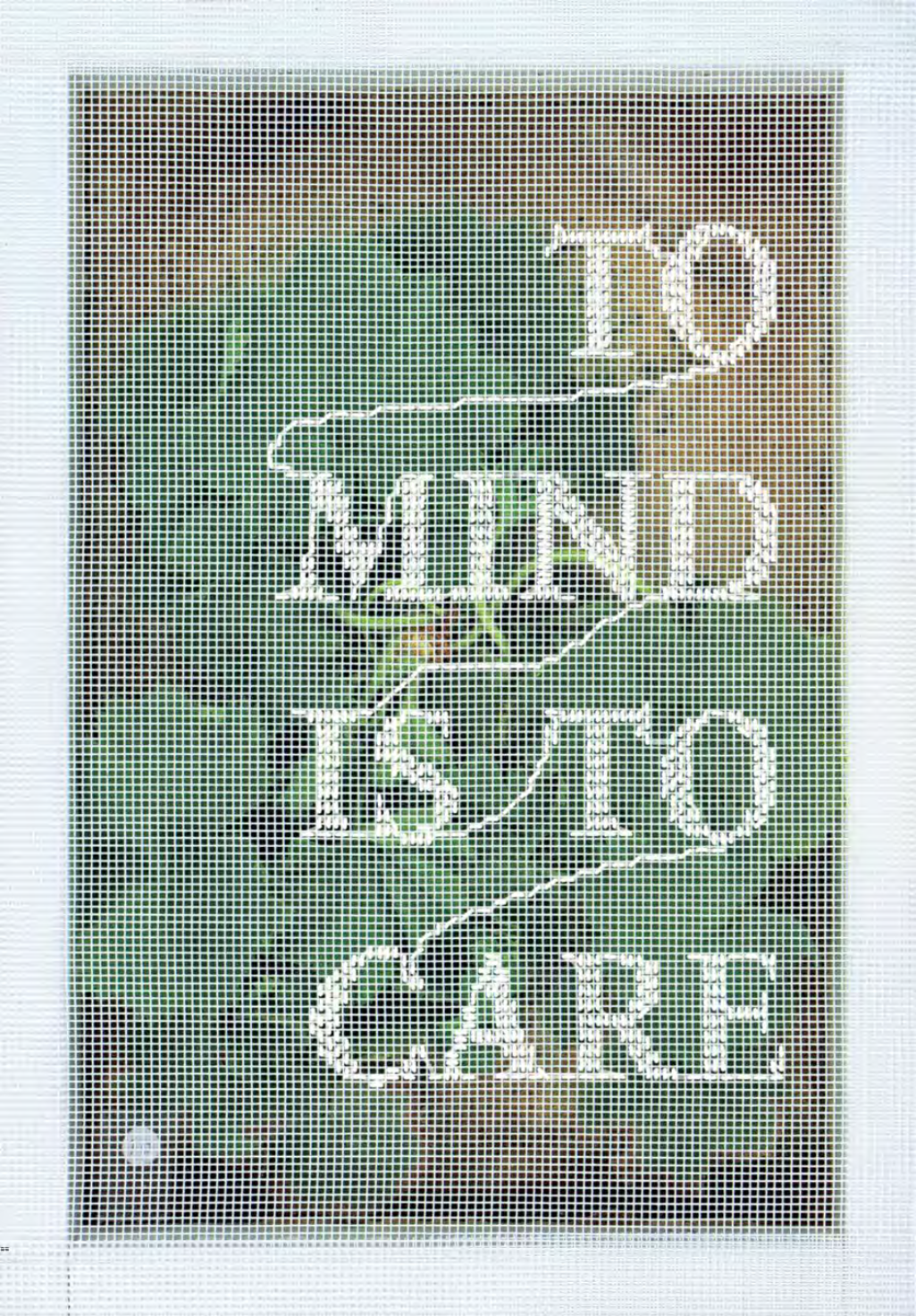 To Mind Is to Care