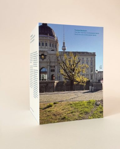 Die Eiche vom Schlossplatz Berlin