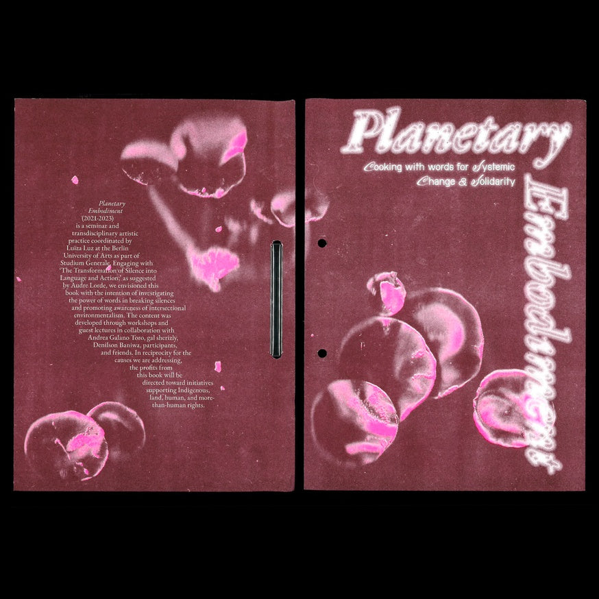 Planetary Embodiment - Cooking with Words for Systemic Change and Solidarity
