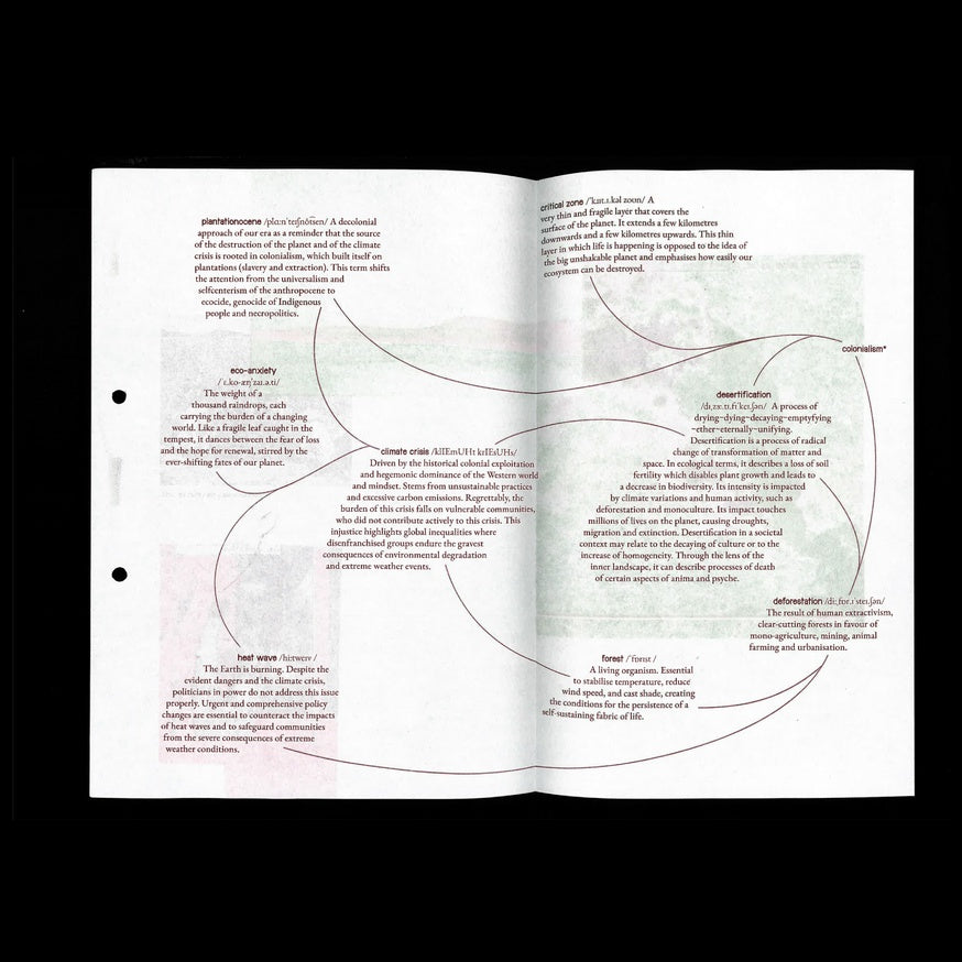 Planetary Embodiment - Cooking with Words for Systemic Change and Solidarity