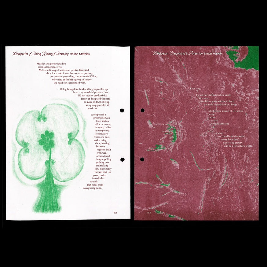 Planetary Embodiment - Cooking with Words for Systemic Change and Solidarity